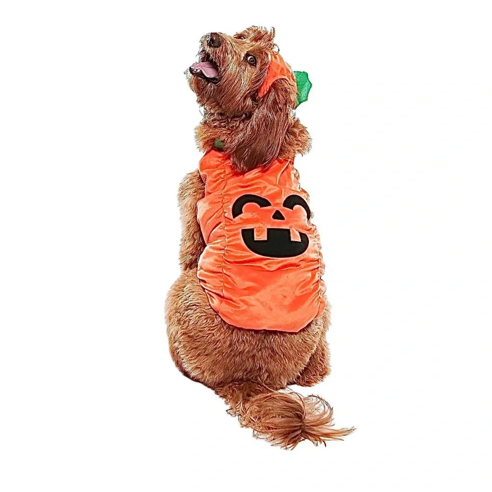 PET JACK-O’-LANTERN COSTUME NWT